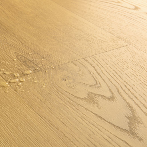 Frosty White Oak CLM5798